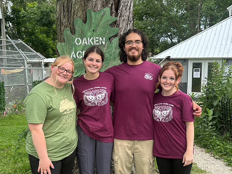 student interns at oaken acres wildlife rehabilitation center