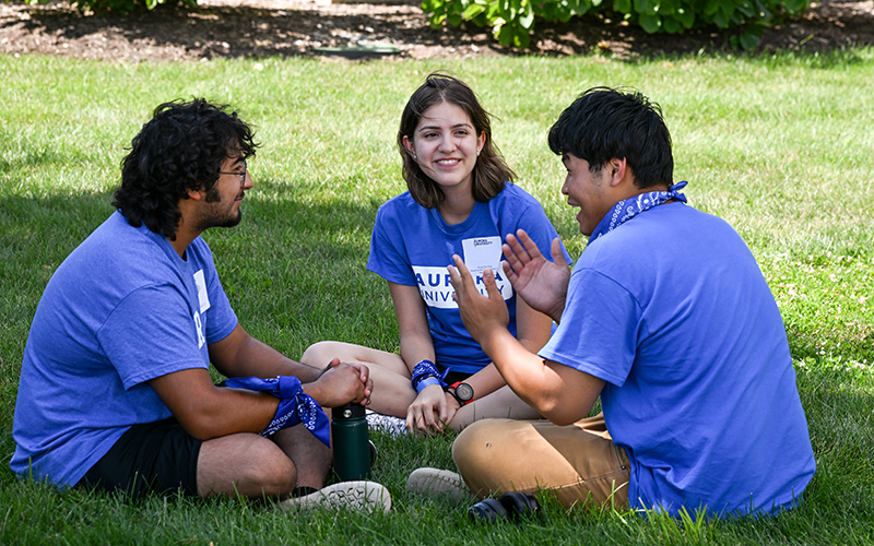 Group of students sitting on the grass talking.