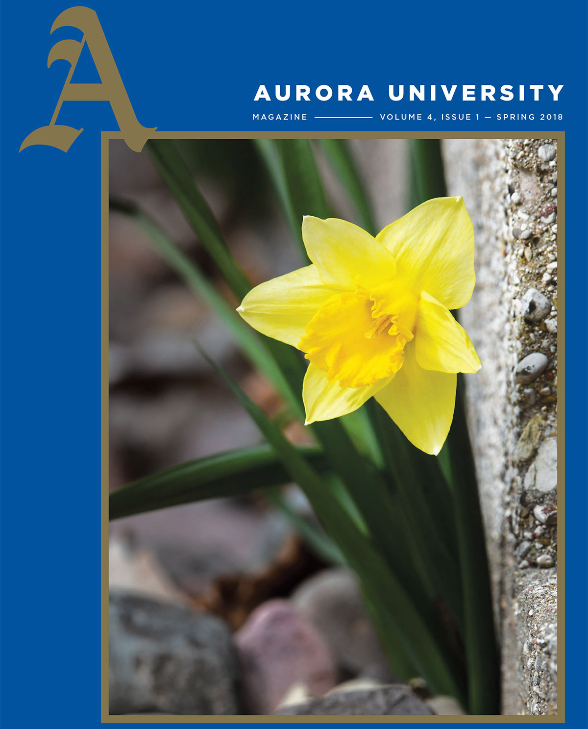 Spring 2018 Magazine Cover