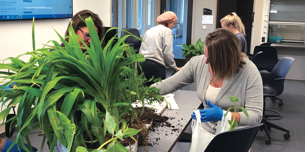 Students studying plants in a classroom.