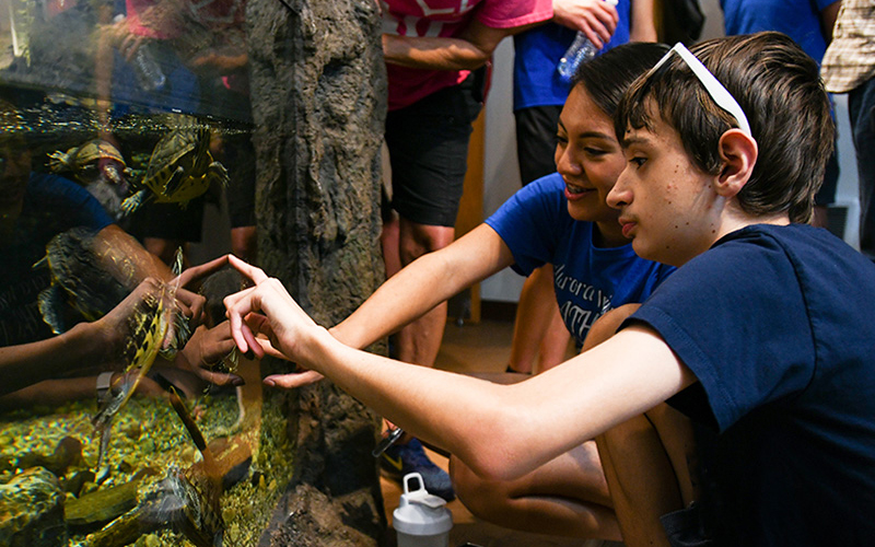 Students looking at an aquarium.